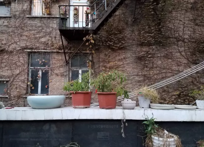 办公区外环境 办公区外环境